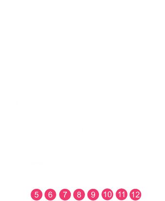 PTZ211 Back