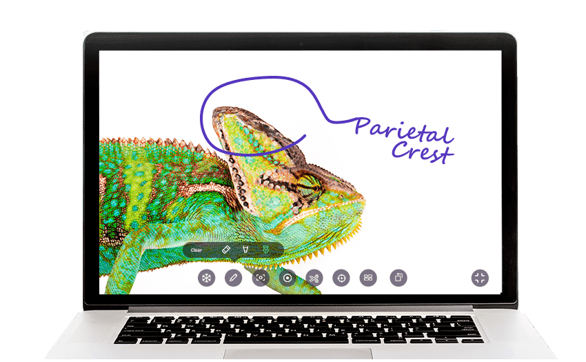 Annotate