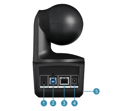 DL10 Back