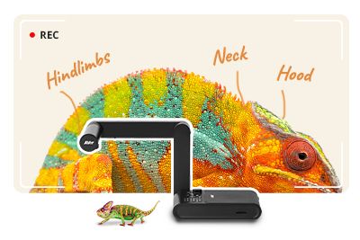 Visualizers (Document Cameras)