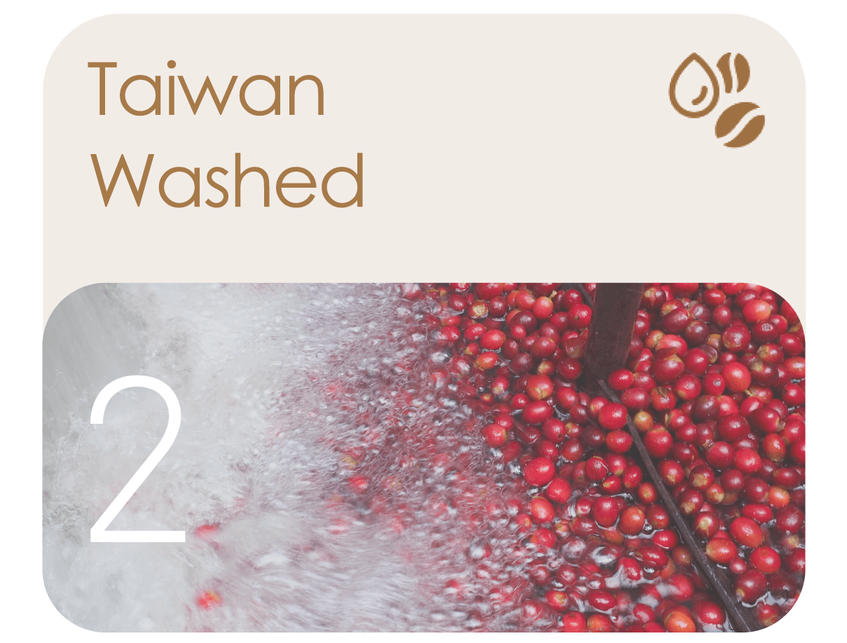 Washed AI model precisely separates silver skin from defects, enhancing sorting accuracy of green coffee beans.
