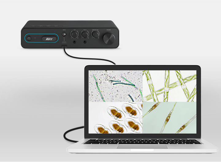 ampliwave